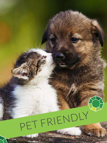 Emerald Suites Black Canyon | Extended Stay Rentals in Phoenix, AZ | Pet Friendly